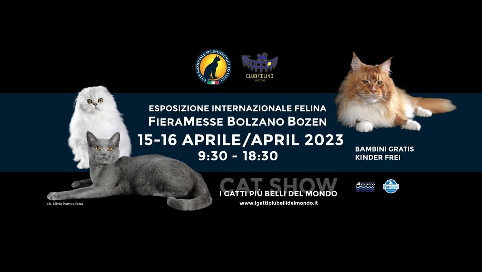 Expo Felina Internazionale