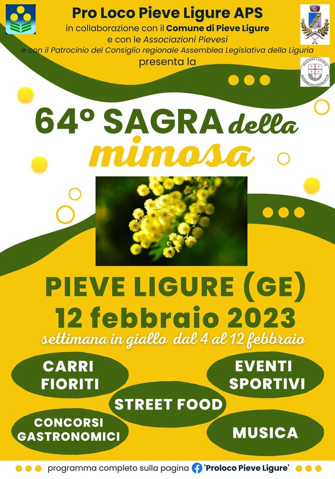 Evento 64° Sagra della Mimosa, domenica 12 febbraio 2023 Locandina 64° Sagra della Mimosa, domenica 12 febbraio 2023 - da sabato 4 febbraio - domenica 12 febbraio 2023 ore 19:30 ore 20:00