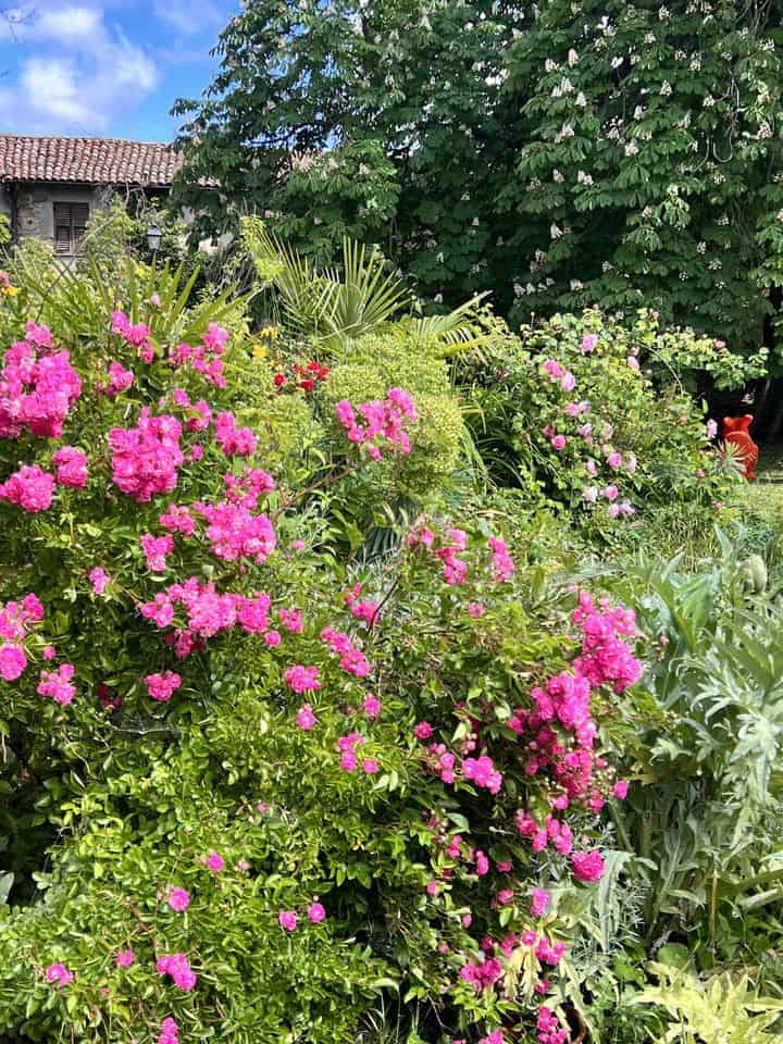 Evento Vite in giardino! Conversazione in giardino Locandina Vite in giardino! Conversazione in giardino - sabato 16 settembre ore 14:30 - 16:30
