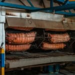 40a Sagra della Porchetta e del Tortellino 40a Sagra della Porchetta e del Tortellino a Lavezzola (RA) il 1 settembre - 3 settembre 2023