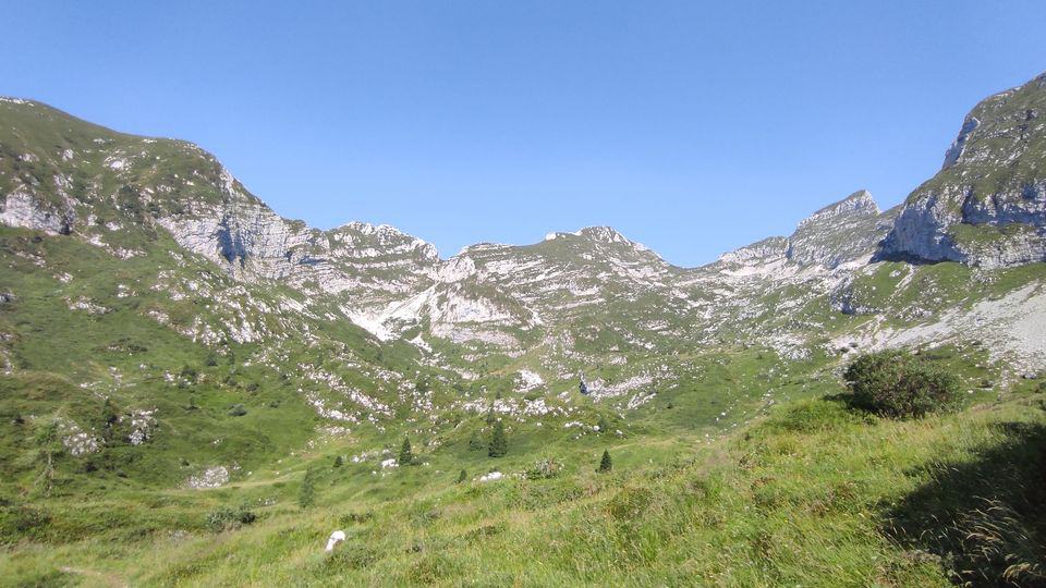 GLI ALTI PASCOLI DI PIANCAVALLO Potrebbe essere un'immagine raffigurante montagna e erba