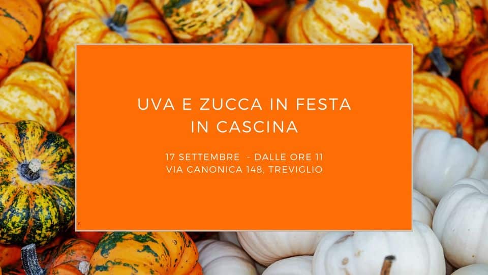 Potrebbe essere un'immagine raffigurante zucca, zucca, zucca e il seguente testo "UVA E ZUCCA IN FESTA IN CASCINA 17 SETTEMBRE DALLE ORE 11 VIA CANONICA 148, TREVIGLIO"