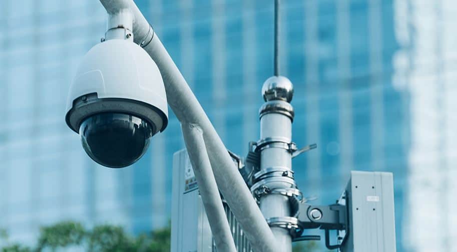 Evento Black Box, un libro di Laura Carrer Locandina Black Box, un libro di Laura Carrer - giovedì 26 ottobre ore 16:30 - 18:30