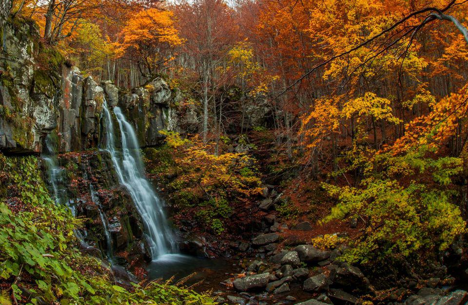 May be an image of waterfall, nature and water
