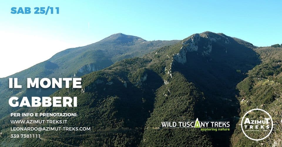 Il Monte Gabberi May be an image of fog, mountain and text
