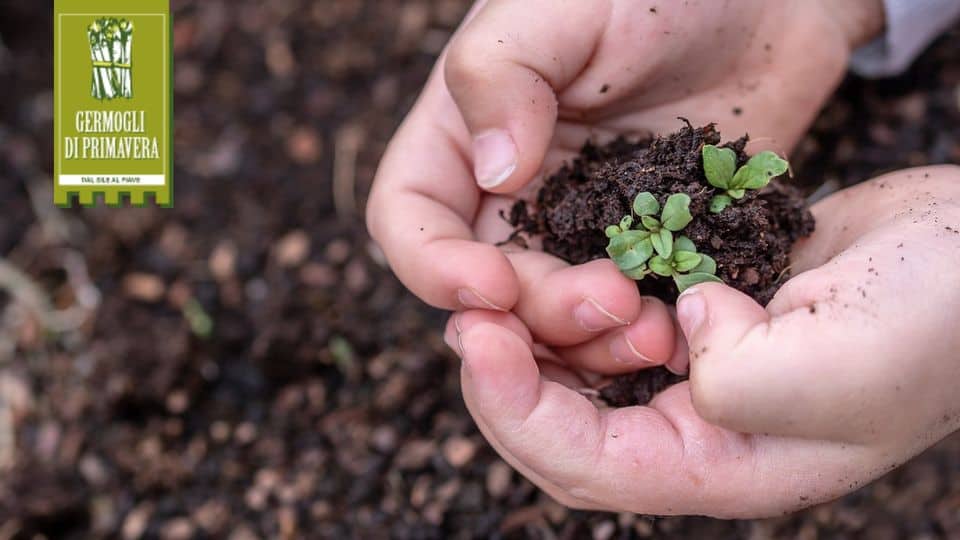Per fare un Germoglio ci vuole un seme a Zero Branco May be an image of 1 person, seedlings and text