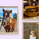 🐴 Festa di Primavera con Food Truck 🍔 May be an image of 1 person