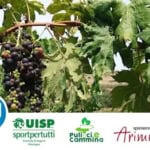 TERRE DEL ROSSESE, ESCURSIONE CON DEGUSTAZIONE Terre Del Rossese, Escursione Con Degustazione