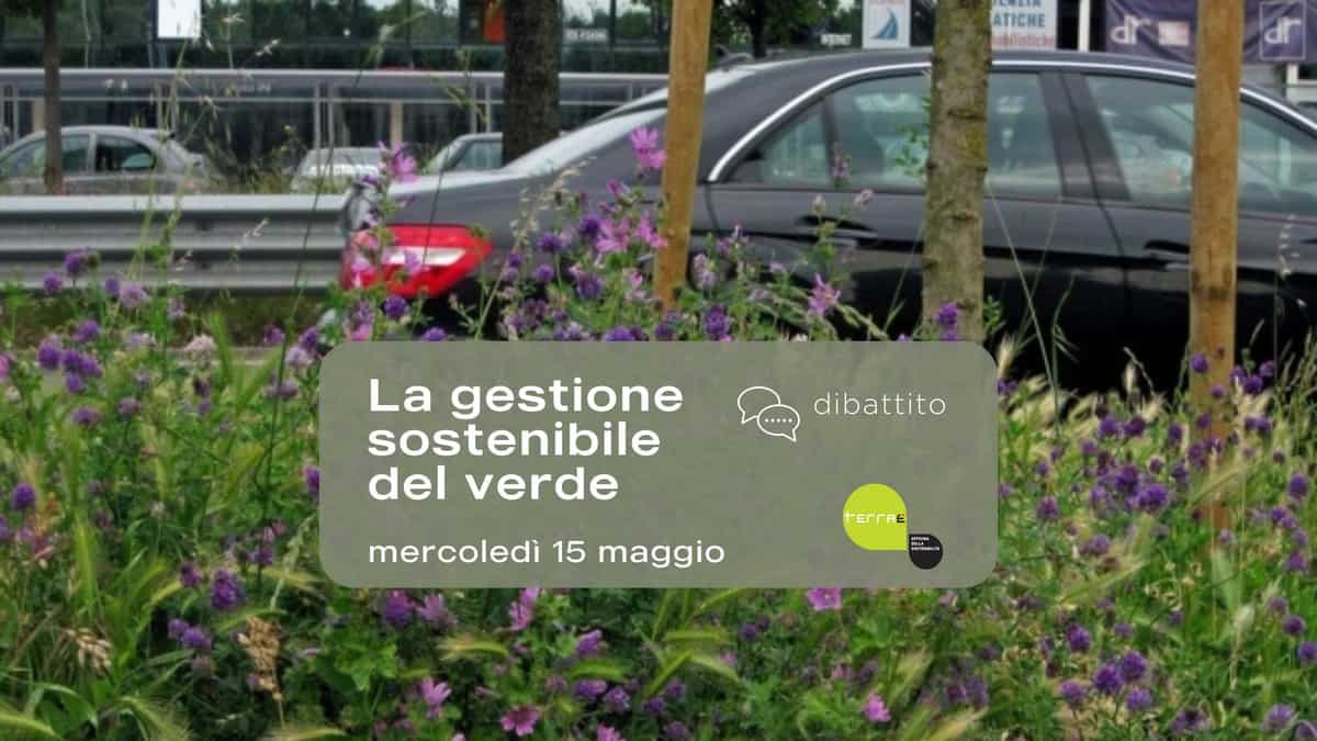 🌳 La gestione sostenibile del verde 🧩 TESSERE – XV edizione di Terraè May be an image of scorpion grass, French lavender and text