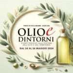 Olio e Dintorni 2024 | 19a Edizione | Oleis di Manzano (UD) May be an image of text