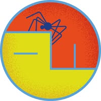 Foto di Associazione Pisa Folk Immagine di Associazione Pisa Folk