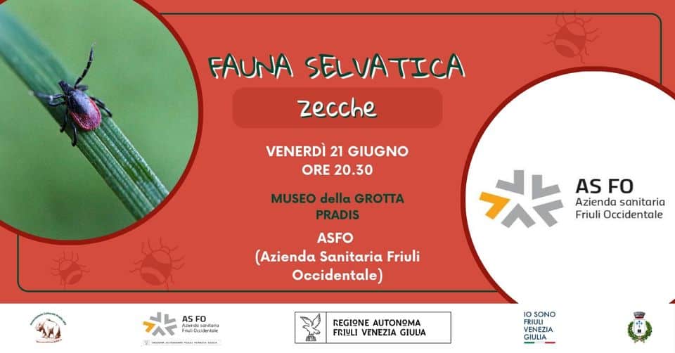 Evento Fauna selvatica “ZECCHE” Locandina Fauna selvatica “ZECCHE” - venerdì 21 giugno ore 18:30 - 21:30