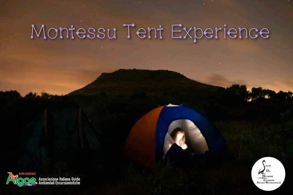 Montessu Tent Experience No photo description available.