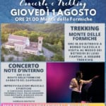 “Note d’interno”. Trekking & Concerto May be an image of 1 person, clarinet, trumpet and text
