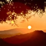 Concerto cantautori italiani al tramonto May be an image of nature, horizon, twilight and tree