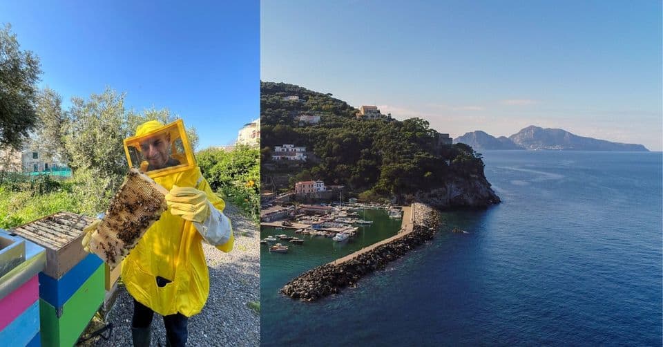 Evento Massa Lubrense bee – trek alla scoperta del miele Locandina Massa Lubrense bee – trek alla scoperta del miele - giovedì 15 agosto ore 15:00 - 18:30