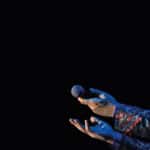Massimo Ranieri | Tutti i sogni ancora in volo Massimo Ranieri Tutti i sogni ancora in volo