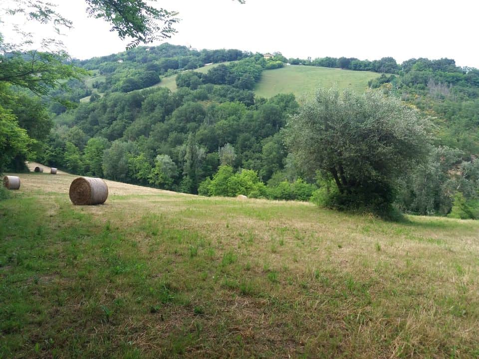 Quattro passi di sera su e giù per le colline di Gemmano No photo description available.