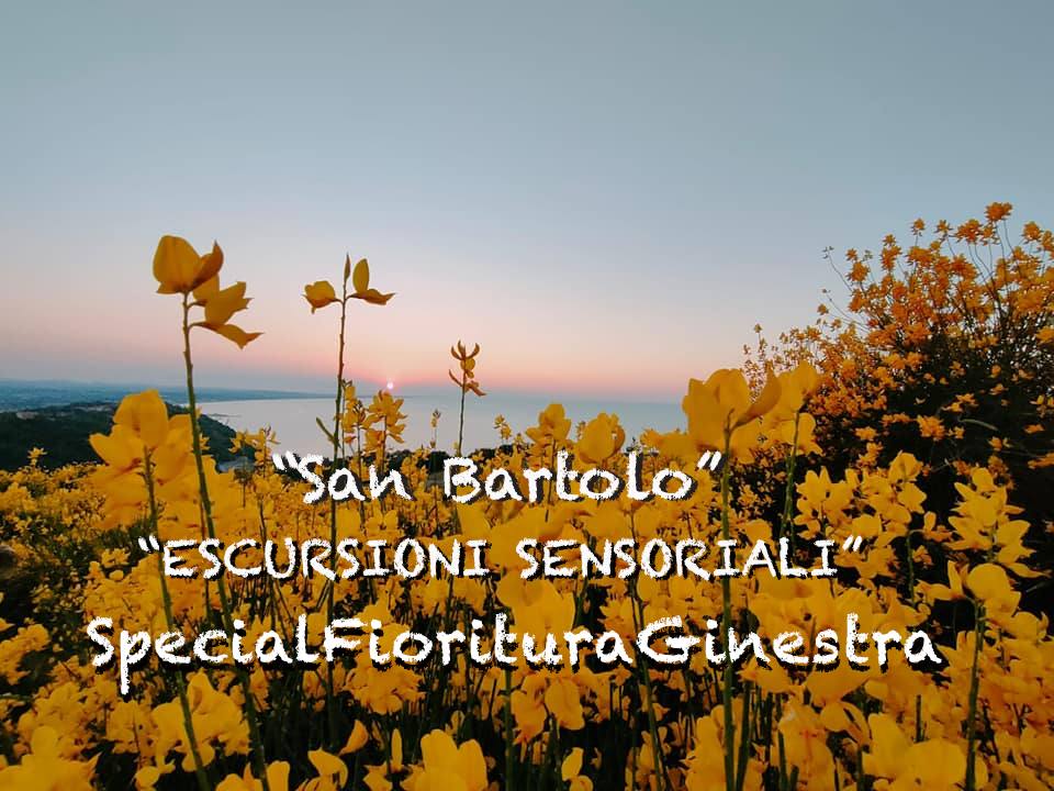Tramonto: Anello del San Bartolo – Special Fioritura Ginestra May be an image of text that says ""San Bartolo "ESCURSIONI SENSORIALI SpecialF pecialFioritura FiorituraGinestra"