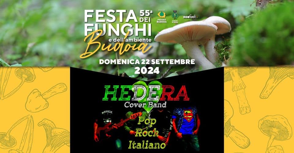 DOMENICA 22 SETTEMBRE 2024 – HEDERA May be an image of shiitake mushrooms, mushroom and text that says "PEFTLIRA oe fest FESTA 55a DEI PROLOCO UNGHI BUDOIA Bua am mbiente edell'ambiente e dell DOMENICA22SETTEMBRE DOMENICA 22 SETTEMBRE 2024 MUSICIA HEDERA CoverBand Cover Band Rock Italiano"