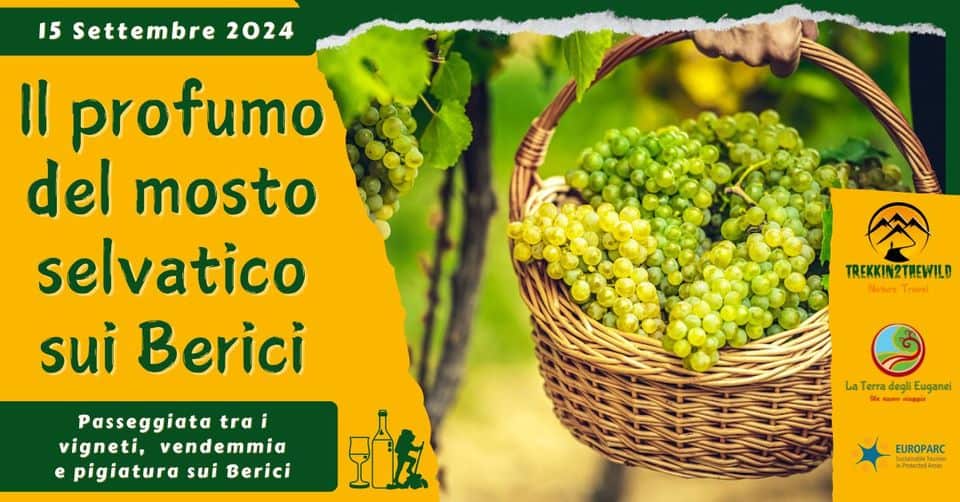 Il profumo del mosto selvatico sui Berici May be an image of text