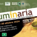 May be an image of text that says 'COMUNE DI APPIGNANO mipanf makan EK kital REGIONE MARCHE Provincia di a www.leguminaria.lt eguminaria ...il valore dei piatti "poveri" della cucina marchigiana appignano storico mc centro 18 19 20 ottobre 2024 Ceci (Cicer arietinum) vulgaris) Fagioli Phaseolus (Lens culinaris Lenticchie PRO'