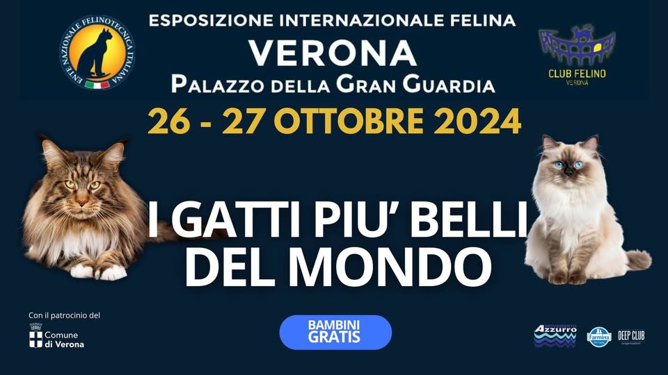 I GATTI PIU’ BELLI DEL MONDO Esposizione Internazionale Felina – Verona, Palazzo della Gran Guardia May be an image of text that says "ESPOSIZIONE INTERNAZIONALE FELINA អ% BLINOTECNIE VERONA בהאוב VIN PALAZZO DELLA GRAN GUARDIA 26 26-27 27 2024 CLUB CLUBFELINO Con patr tracinio Conilpatraciniadel cin nic ia del I GATTI PIU' BELLI DEL MONDO Comune di Verona BAMBINI GRATIS Azzurro Farnira ك Farmirsa 한 DEEPCLUB"