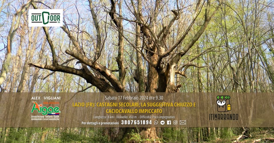Lazio (FR): Castagni secolari, la suggestiva Chiuzzo e caciocavallo impiccato con ITINARRANDO No photo description available.