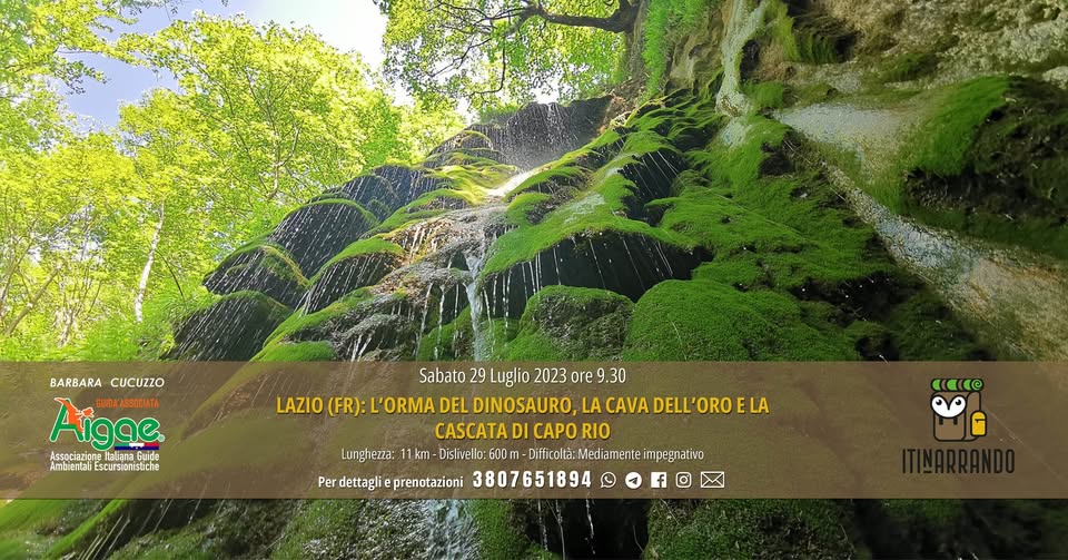 Evento Lazio (FR) L’orma del dinosauro, la cava dell’oro e la cascata di Capo Rio Locandina Lazio (FR) L’orma del dinosauro, la cava dell’oro e la cascata di Capo Rio - sabato 29 luglio ore 09:00 - 11:00