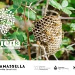 LE VAGABONDE, alla scoperta delle piante spontanee May be an image of text