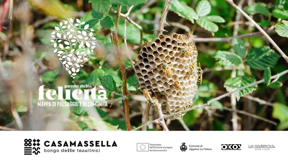 Evento LE VAGABONDE, alla scoperta delle piante spontanee Locandina LE VAGABONDE, alla scoperta delle piante spontanee - sabato 26 ottobre ore 10:00 - 13:00