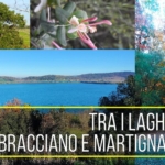 Tra i Laghi di Bracciano e Martignano Tra i Laghi di Bracciano e Martignano