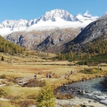 Autunno in Val di Fumo: Foliage e panorami dal cuore del Trentino Autunno in Val di Fumo Foliage e panorami dal cuore del Trentino