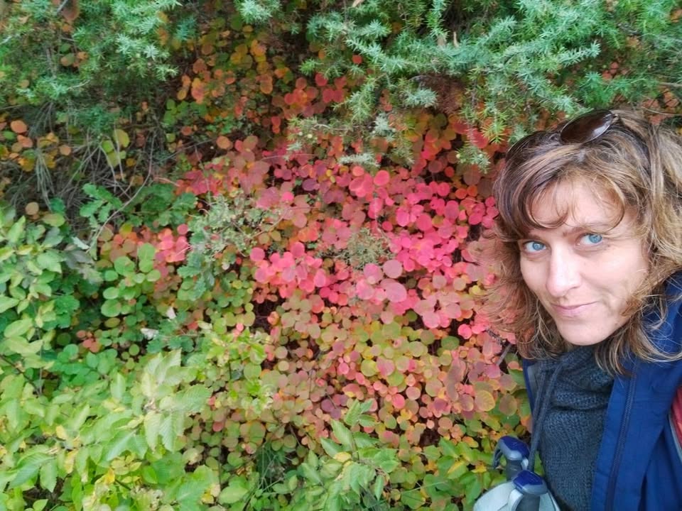 Evento Special Foliage Bosco delle Tassinete & il Cristo delle Marche Locandina Special Foliage Bosco delle Tassinete & il Cristo delle Marche - sabato 7 novembre ore 09:30 - 13:30