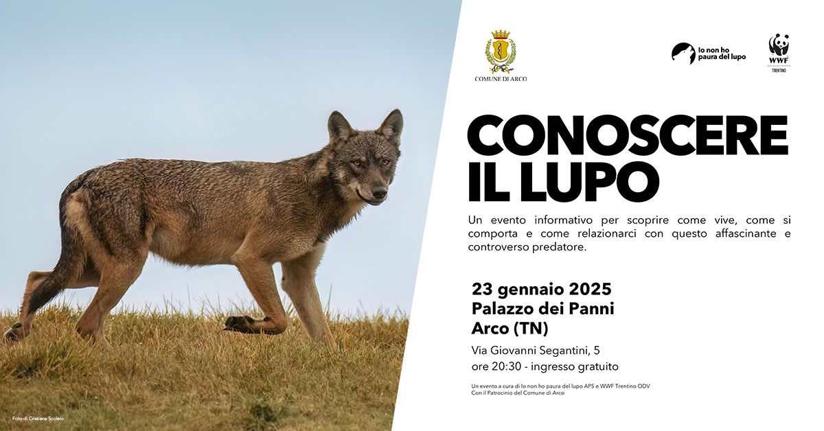 Conoscere il lupo – Arco (TN) May be an image of text
