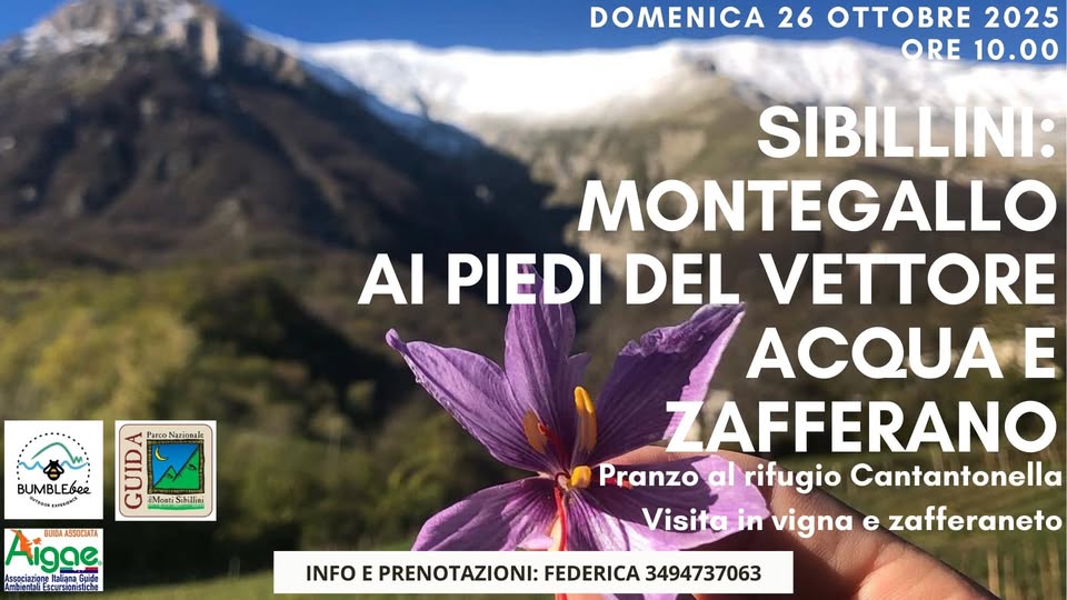 Sibillini: Escursione, pranzo in rifugio, visita in vigna e zafferaneto May be an image of text