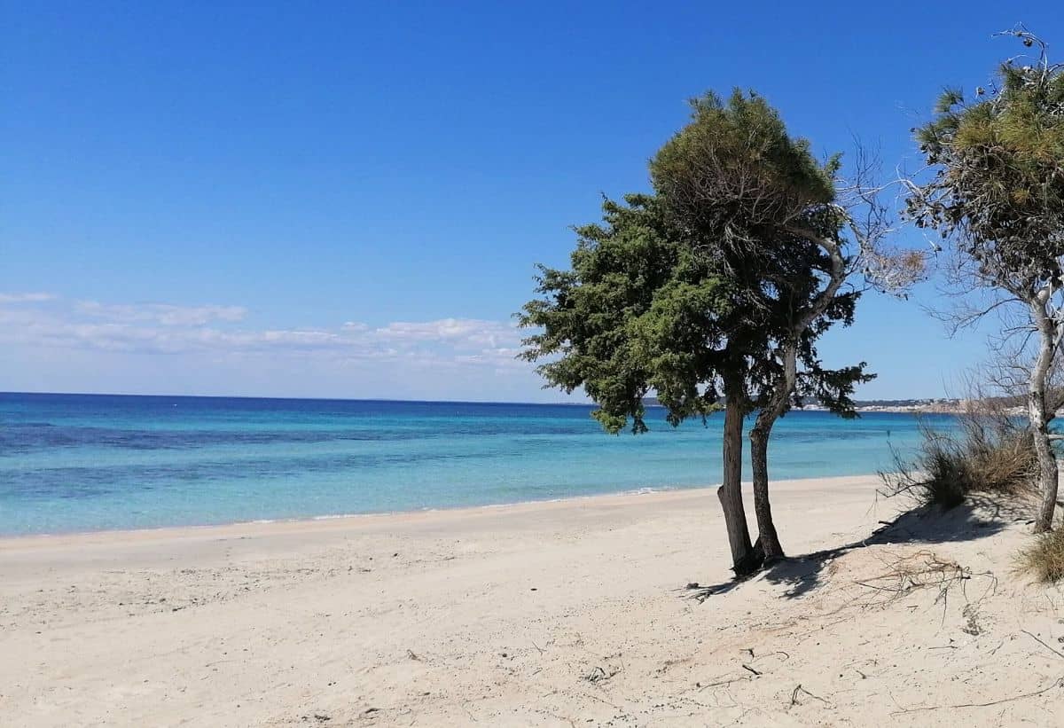 Evento Viaggio a piedi – Capodanno in Salento Locandina Viaggio a piedi – Capodanno in Salento - da lunedì 30 dicembre 2024 - sabato 4 gennaio 2025 ore 08:00 ore 20:00