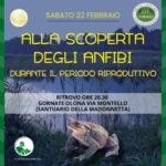 ALLA SCOPERTA DEGLI ANFIBI Alla Scoperta Degli Anfibi