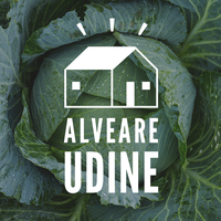 Foto di Alveare Udine