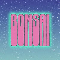 Foto di BOnsai Bologna