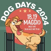 Foto di DOG DAYS Padova Immagine di DOG DAYS Padova