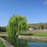 Foto di Pro Loco Volpago del Montello