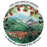 Foto di Proloco Avasinis