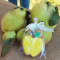 Foto di Proloco Codognè