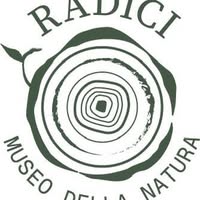 Foto di Radici. Piccolo Museo della Natura Immagine di Radici. Piccolo Museo della Natura