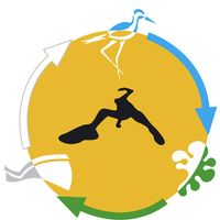 Foto di Trail Romagna