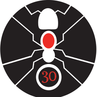 Foto di Trenta Formiche