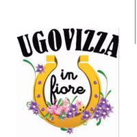 Foto di Ugovizza in fiore Immagine di Ugovizza in fiore