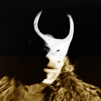 Foto di VINICIO CAPOSSELA