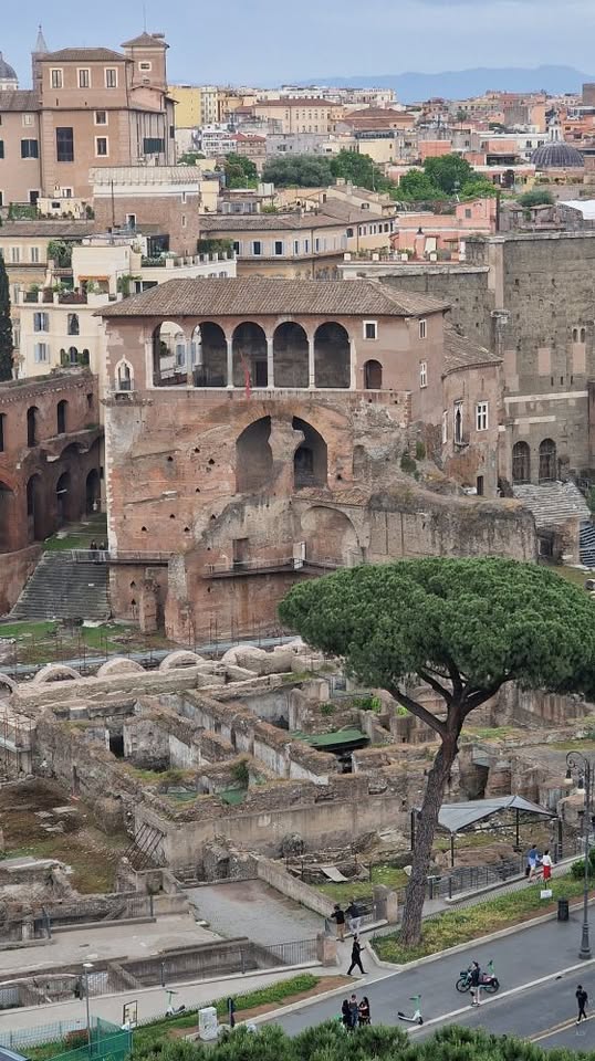 Evento La casa dei cavalieri di Rodi – Apertura Esclusiva Locandina La casa dei cavalieri di Rodi – Apertura Esclusiva - sabato 26 settembre ore 16:30 - 18:30